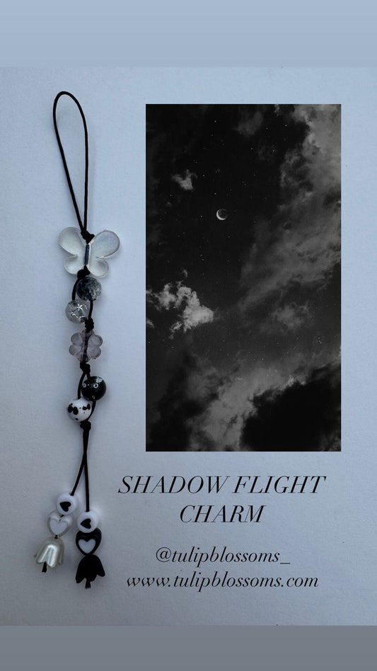 Shadow Fight Charm